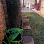 IMG-20250717-WA0163