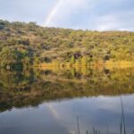 BASPOORT-DAM-3-600x389