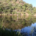 BASPOORT-DAM-4-600x389