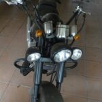 BIG BOY MUSTANG (2)