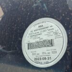 IMG-20250818-WA0077