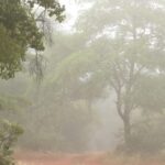 Intaba-Mist-600x389