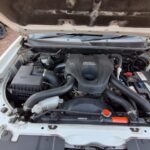 JMN978MP (36)