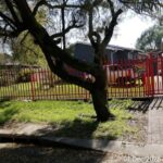 TimePhoto_20251201_084844