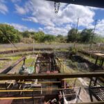 WhatsApp Image 2026-01-24 at 16.27.02 (11)