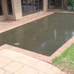 WhatsApp Image 2026-02-17 at 15.46.05