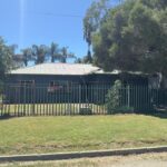 WhatsApp Image 2026-03-11 at 15.11.36 (1)