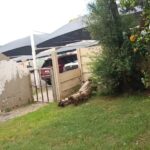 WhatsApp Image 2026-03-16 at 11.18.36