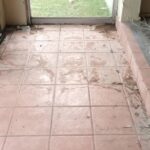 WhatsApp Image 2026-03-16 at 11.19.11