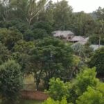 FARM HOUSE