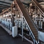 CHIPS PACKAGING WITH CONVEYOR AND FEEDING BINS