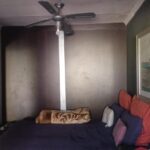 IMG-20260518-WA0003