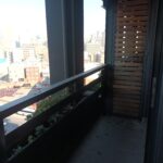 IMG-20260708-WA0050