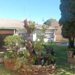 IMG-20260513-WA0019