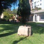IMG-20260513-WA0021