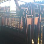 IMG-20260818-WA0075