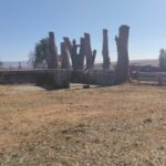 IMG-20260818-WA0081