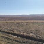 IMG-20260818-WA0086