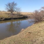 IMG-20260818-WA0091