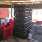 IMG-20260818-WA0140