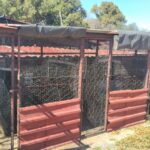 IMG-20260818-WA0142