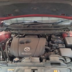 WhatsApp Image 2025-10-06 at 09.50.53_61418703