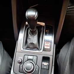 WhatsApp Image 2025-10-06 at 09.50.56_0a343835