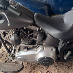 HARLEY DAVIDSON SOFTAIL FAT BOY