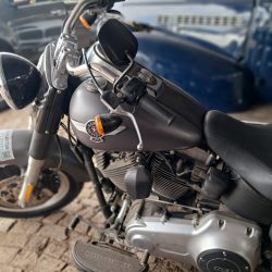 HARLEY DAVIDSON SOFTAIL FAT BOY