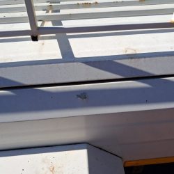 WhatsApp Image 2026-03-10 at 15.40.58 (1)