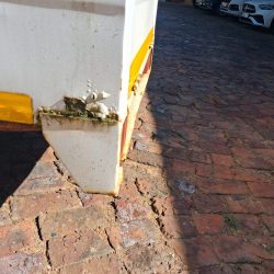 WhatsApp Image 2026-03-10 at 15.41.01