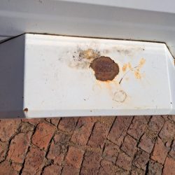 WhatsApp Image 2026-03-10 at 15.41.02 (1)