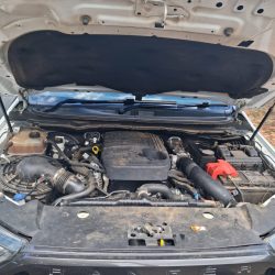 FORD RANGER WILDTRACK 3.2 TDCI