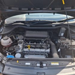 WhatsApp Image 2026-03-17 at 11.37.09