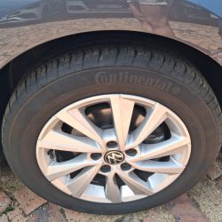 WhatsApp Image 2026-03-17 at 11.37.12