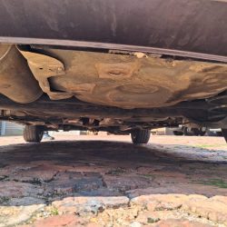 WhatsApp Image 2026-03-17 at 11.37.13