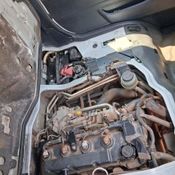 WhatsApp Image 2026-03-31 at 10.15.15