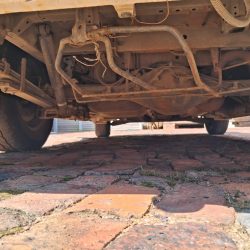 WhatsApp Image 2026-03-31 at 10.15.23