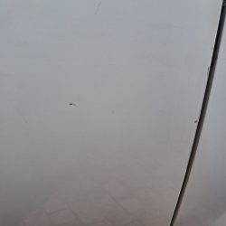 WhatsApp Image 2026-03-31 at 10.15.26