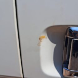 WhatsApp Image 2026-03-31 at 10.15.29 (1)