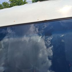 WhatsApp Image 2026-03-31 at 10.15.31