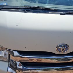 WhatsApp Image 2026-03-31 at 10.15.35 (1)