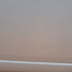 WhatsApp Image 2026-03-31 at 10.15.39