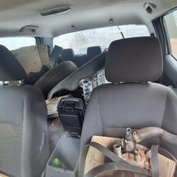 WhatsApp Image 2026-04-08 at 13.18.12