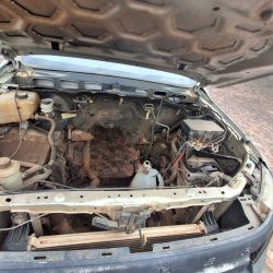 WhatsApp Image 2026-04-08 at 13.18.14